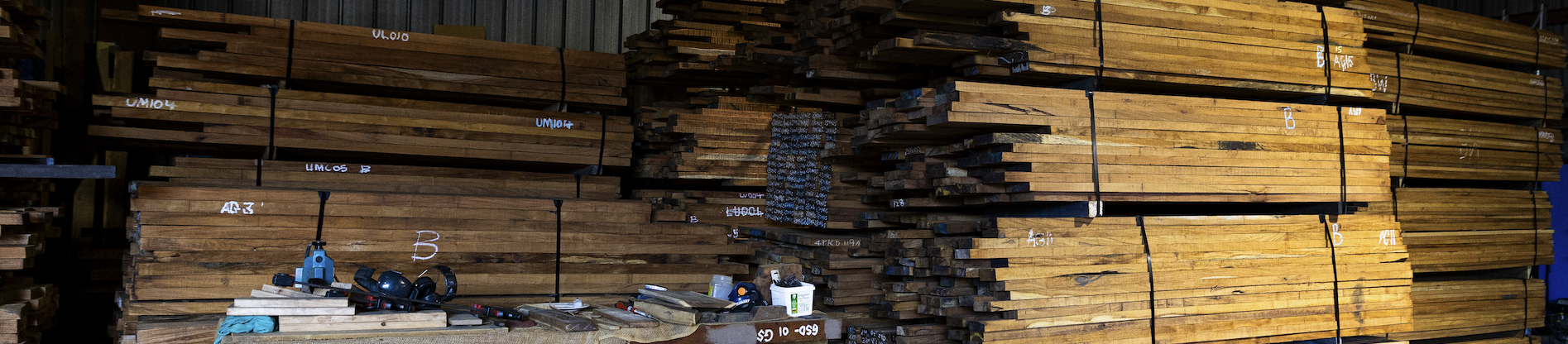 Inside view of Agora Timbers' state-of-the-art timber storage facility