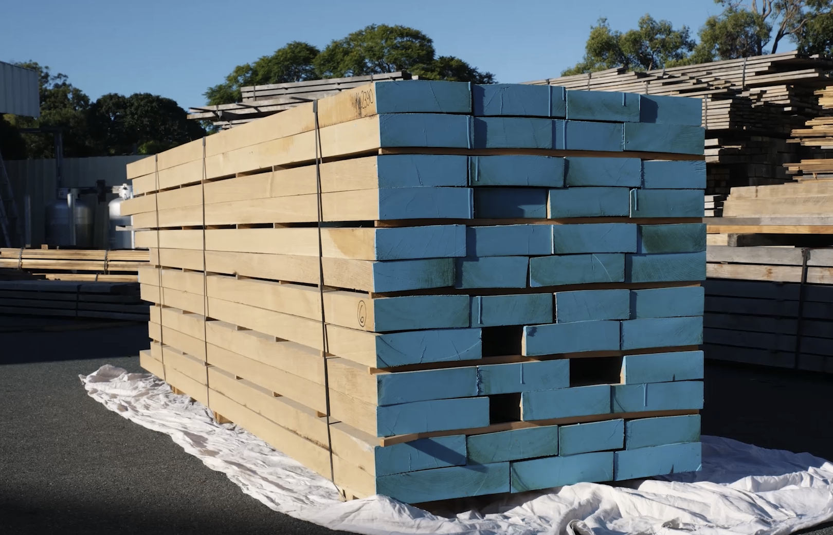 Fresh shipment of premium European White Oak timber at Agora Timbers.