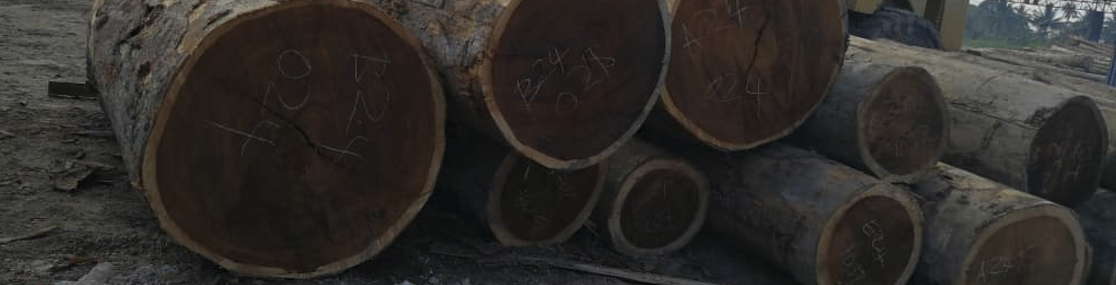Uniform shaped Kwila logs